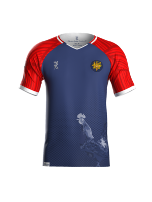 Maillot France